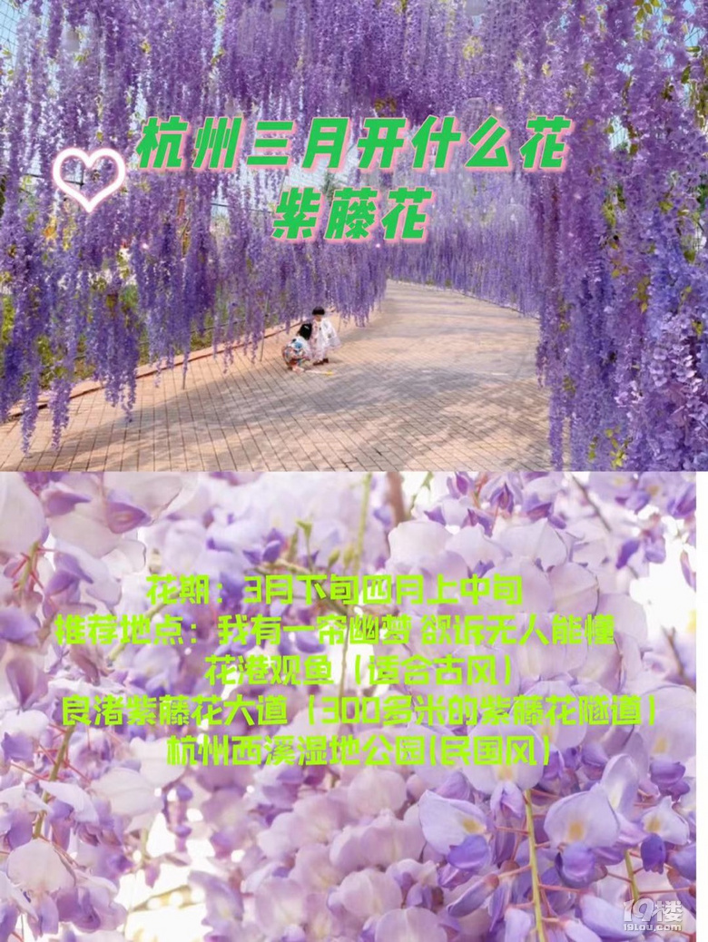 杭州三月Z強(qiáng)賞花大全，錯過又要等一年噢
