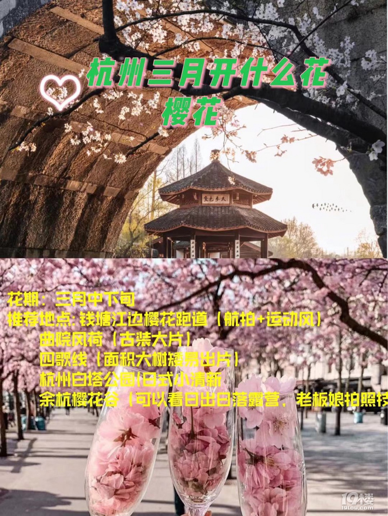 杭州三月Z強(qiáng)賞花大全，錯過又要等一年噢
