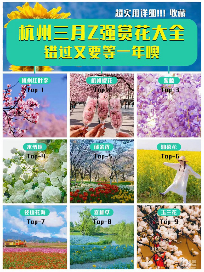 杭州三月Z強(qiáng)賞花大全，錯過又要等一年噢