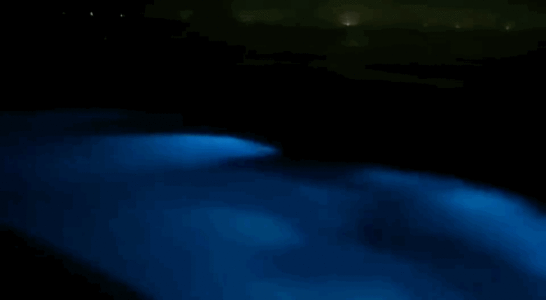 ɹ@ݔ|ρ߀ܿL~