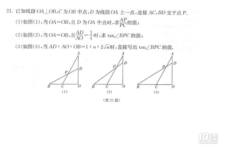 N׵(sh)W(xu)ƌW(xu)С}