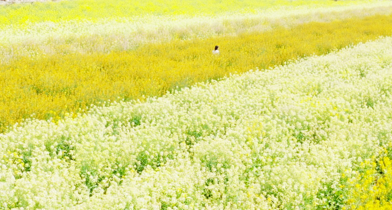 һ(li)|@uŬgɾ