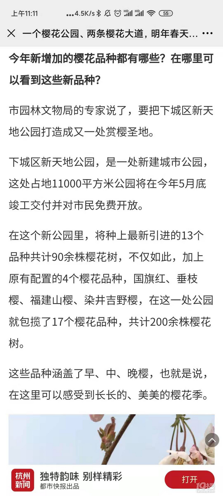 櫻花還有綠色的？杭州這幾棵熊貓級櫻花你可別錯過了！