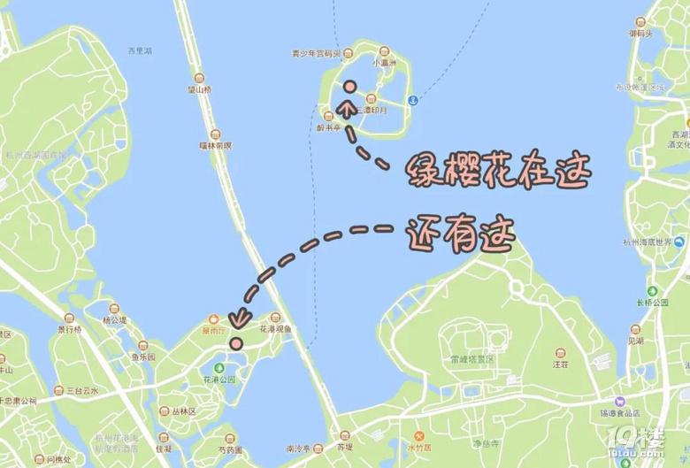 櫻花還有綠色的？杭州這幾棵熊貓級櫻花你可別錯過了！