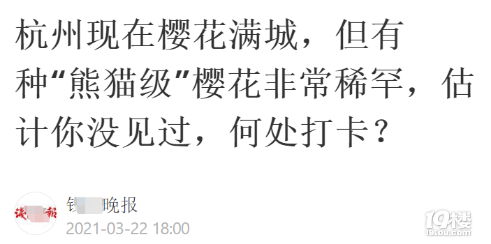 櫻花還有綠色的？杭州這幾棵熊貓級櫻花你可別錯過了！