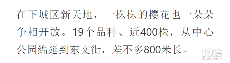 櫻花還有綠色的？杭州這幾棵熊貓級櫻花你可別錯過了！