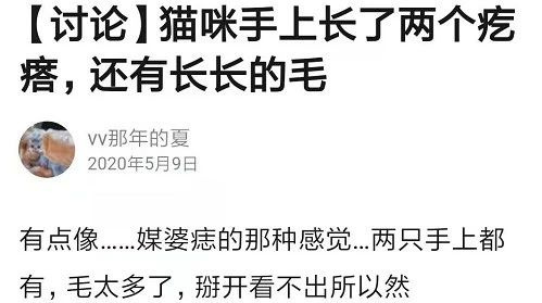 撿到流浪貓的一根胡子，幾天后…發(fā)大財(cái)了！