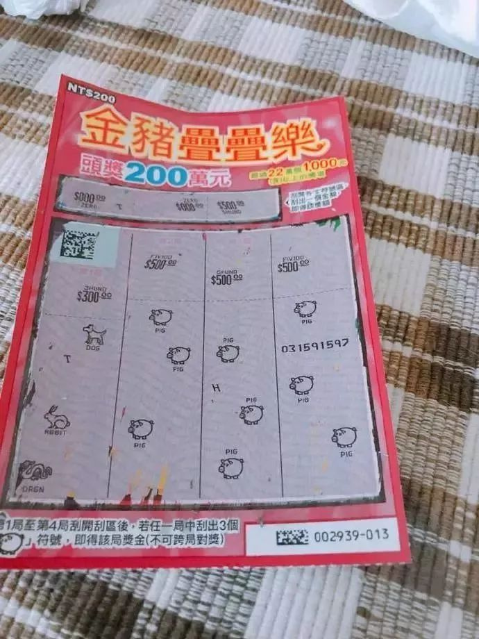 撿到流浪貓的一根胡子，幾天后…發(fā)大財(cái)了！