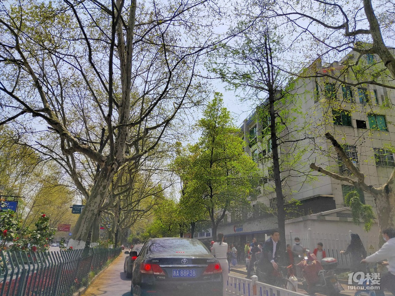 ·^˵ͣ܇