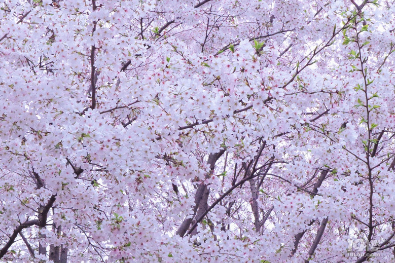M@ɫP(gun)P(gun)סه@ﮔ(dng)һɫ֮ͽ
