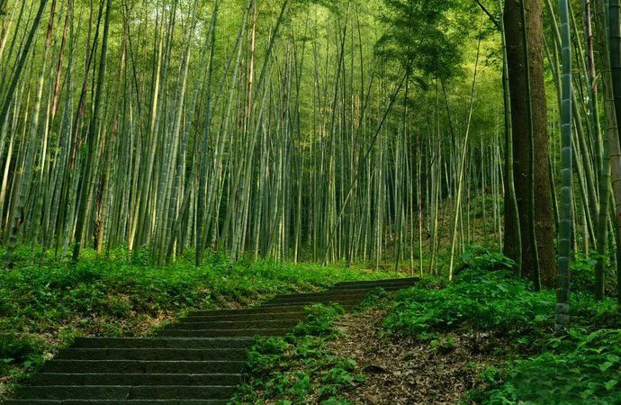 杭州旅行攻略|來杭州不可錯過的幾個地方