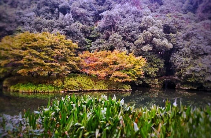 杭州旅行攻略|來杭州不可錯過的幾個地方
