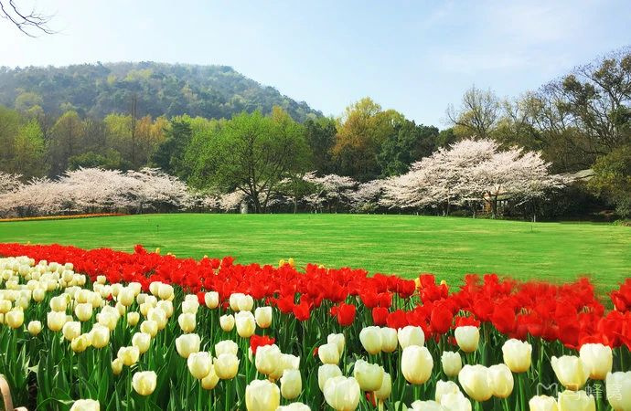 杭州旅行攻略|來杭州不可錯過的幾個地方
