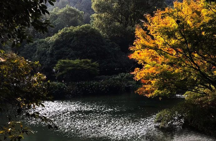 杭州旅行攻略|來杭州不可錯過的幾個地方