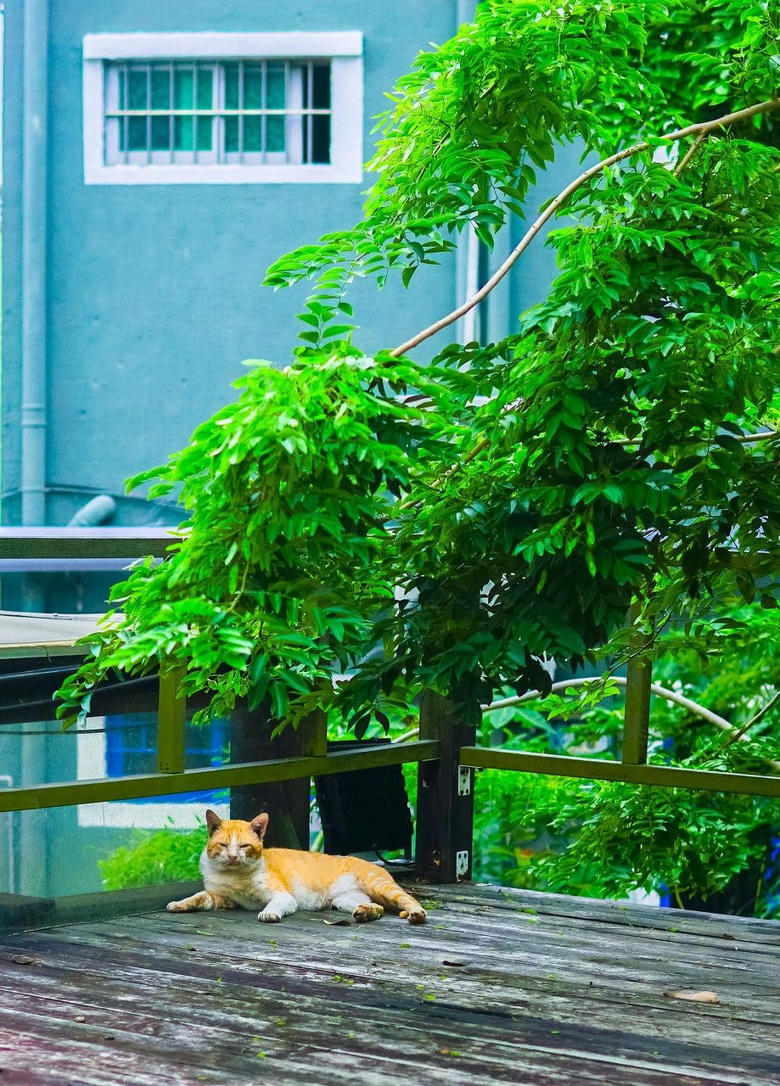 óЇ桰砂}˽Їÿը