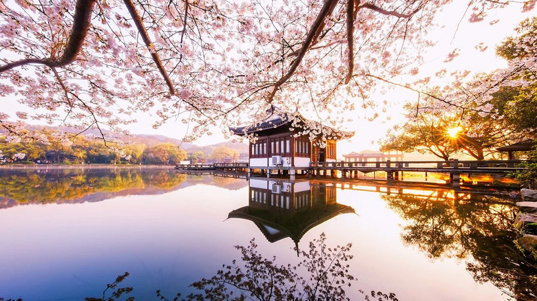 4月，我想帶你去杭州