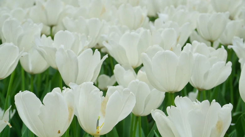 4月，我想帶你去杭州
