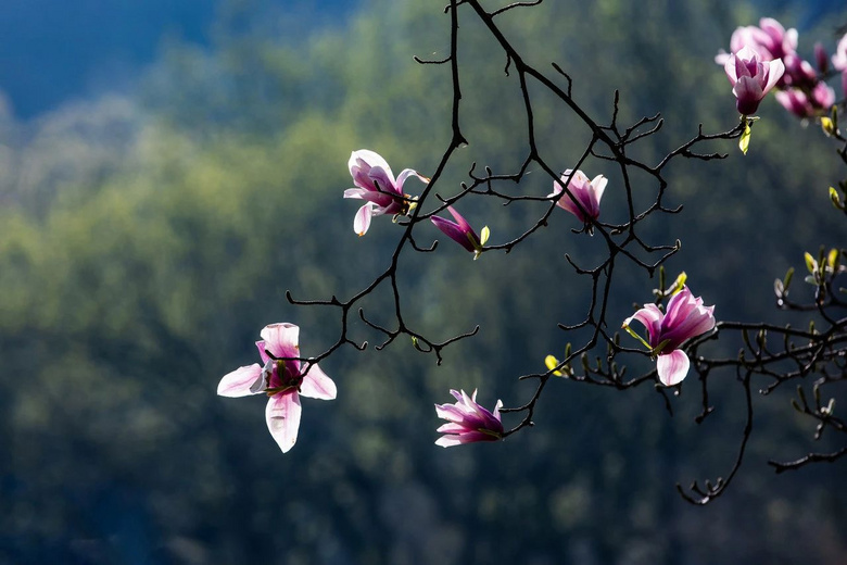 4月，我想帶你去杭州