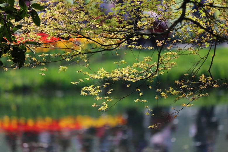 4月，我想帶你去杭州