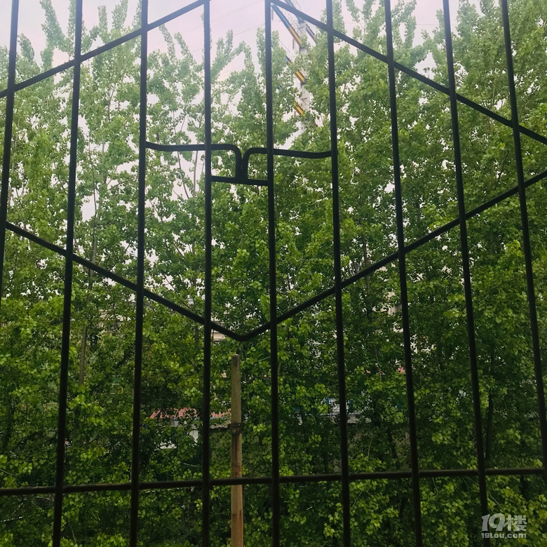 有點夏天的味道了