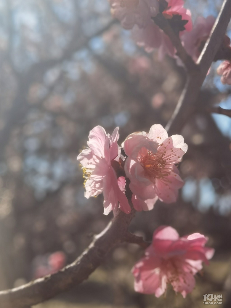 kƷһǹõĆ᣿