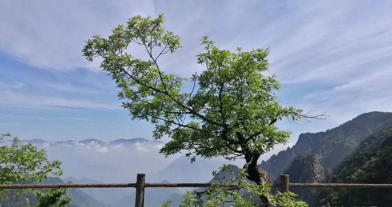 小眾地推薦|杭州周邊10大露營好去處，邂逅向往的生活，還有滿