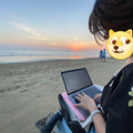 鿴ß