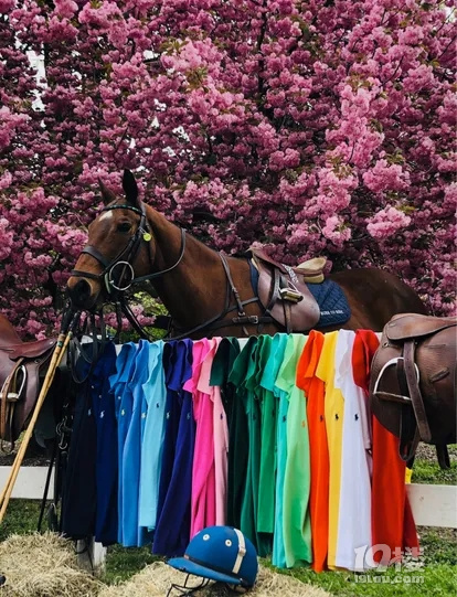 쌣Polo 