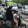 鿴ß