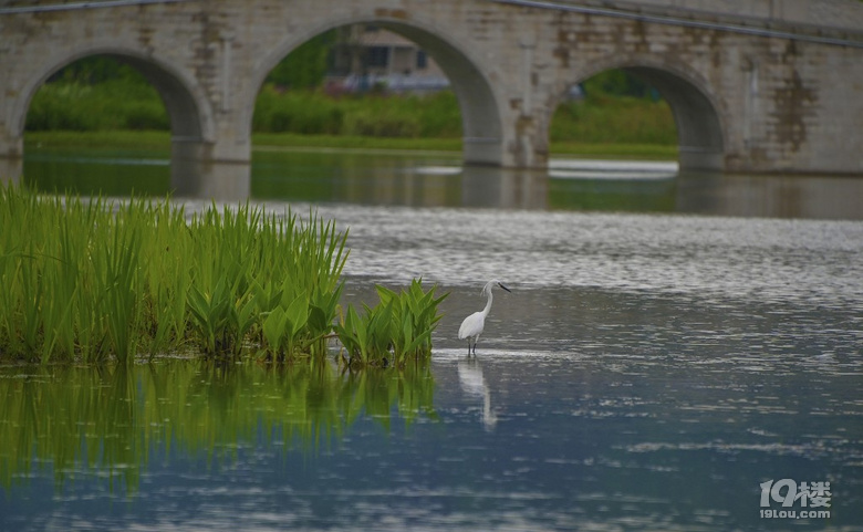 富阳阳陂湖