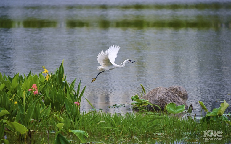 富阳阳陂湖