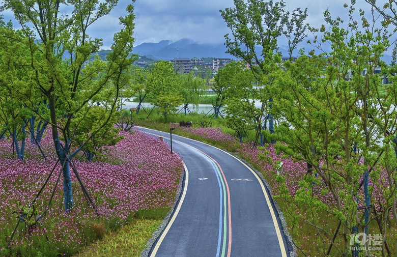 富阳阳陂湖