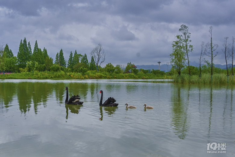 富阳阳陂湖