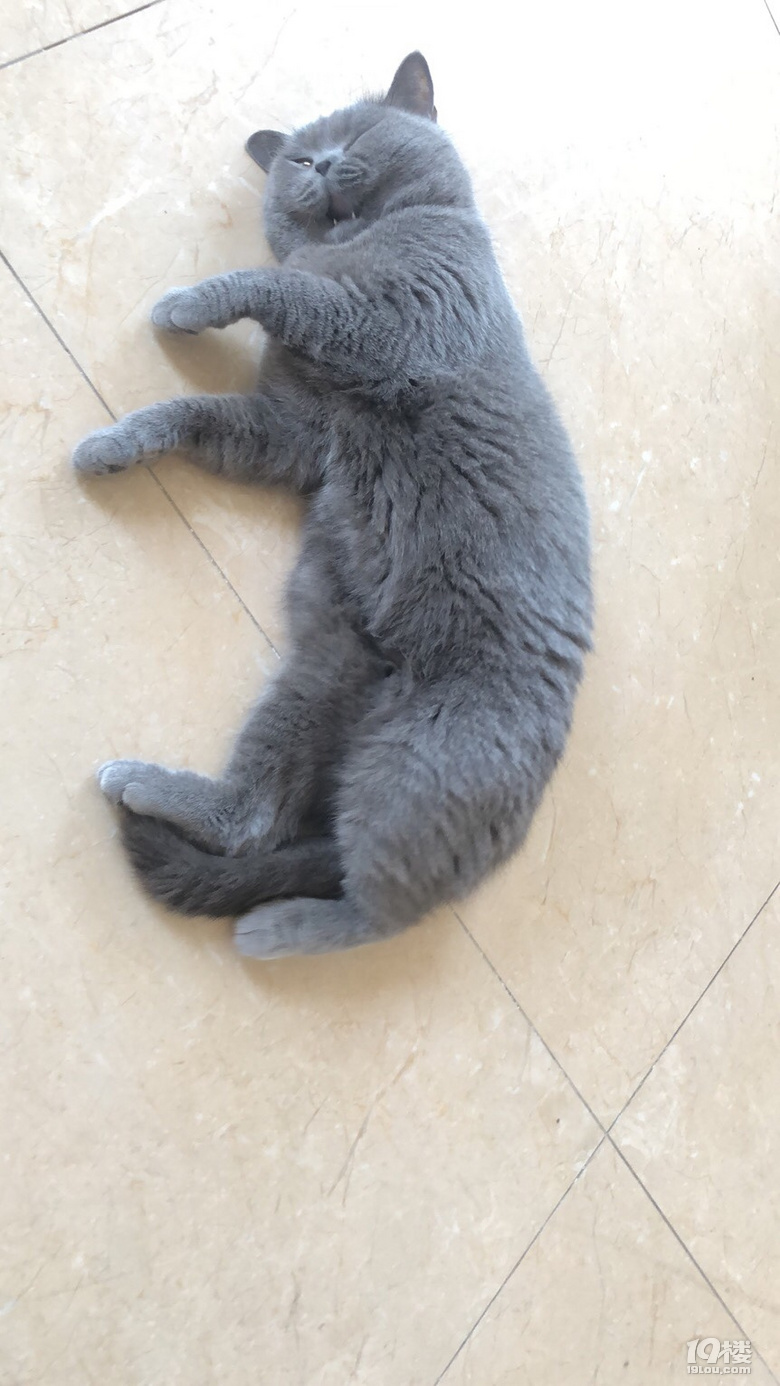 ؈