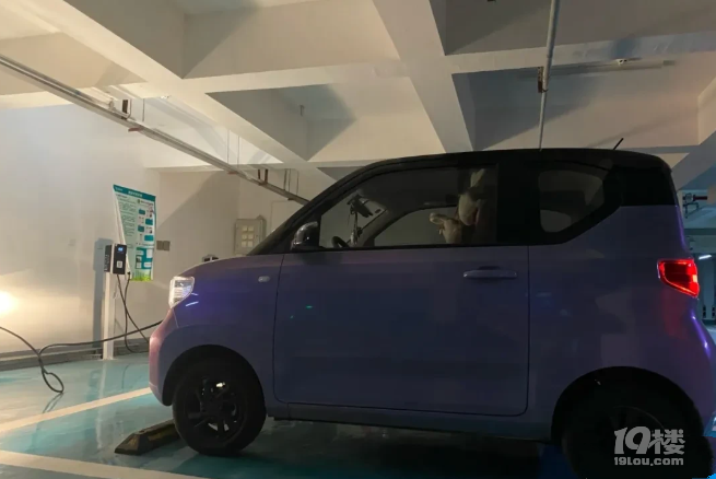f(shu)f(shu)_(ki)Mini EV 5(g)µʹø