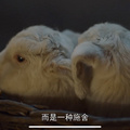 鿴ß