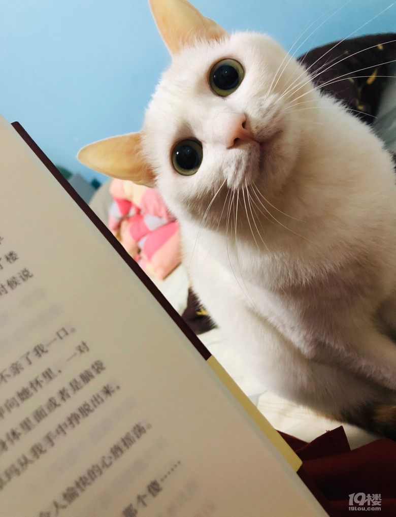 周五快乐