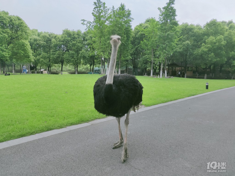 路過