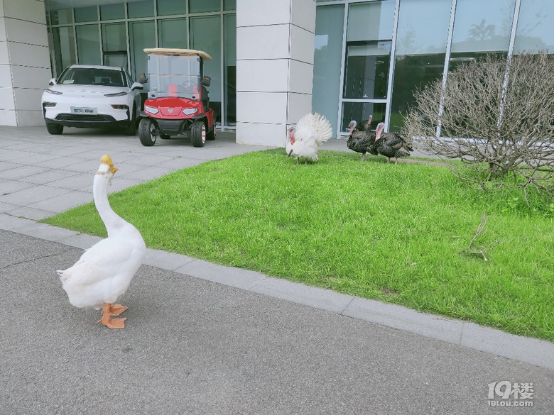 路過