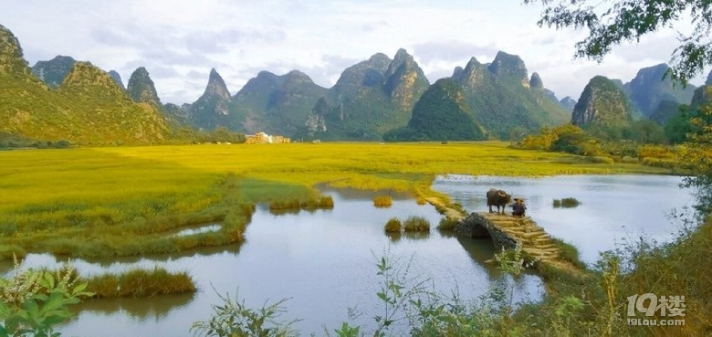 "一条大河波浪宽 风吹稻花香两岸"