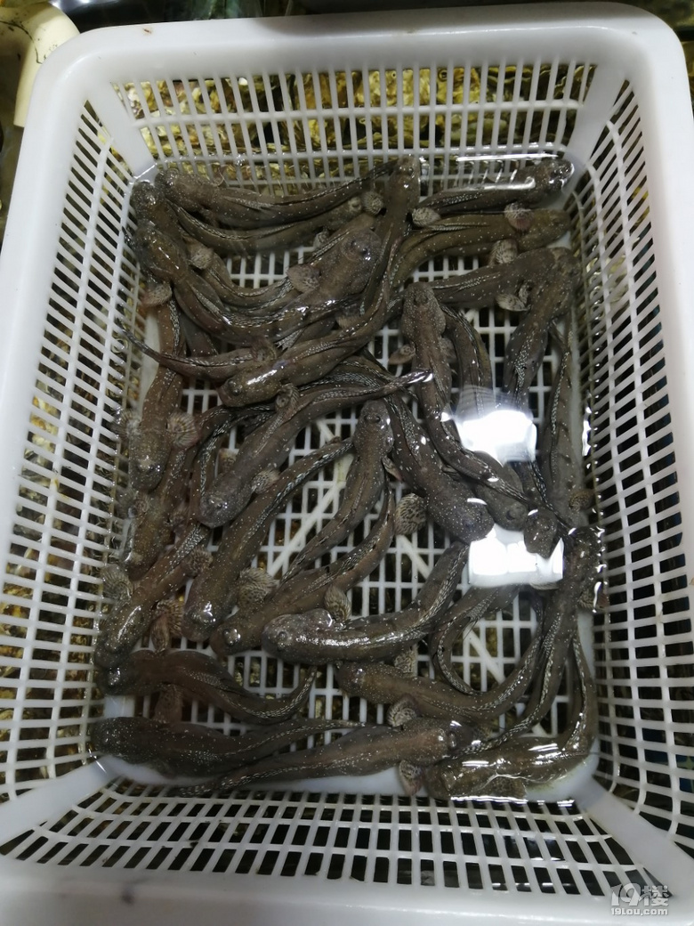 有趣不？