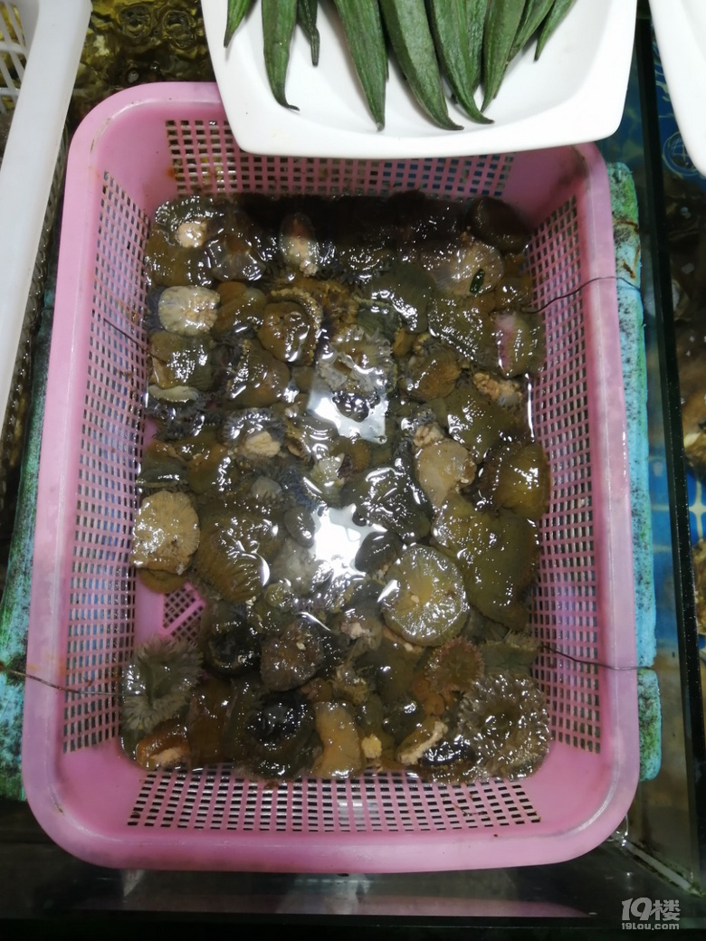 有趣不？