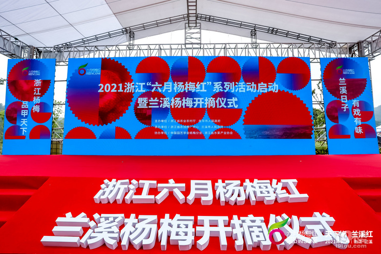 蘭溪楊梅紅天下  2021浙江“六月楊梅紅”系列活動在蘭啟動