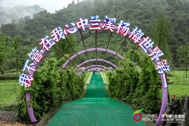 蘭溪楊梅紅天下  2021浙江“六月楊梅紅”系列活動在蘭啟動