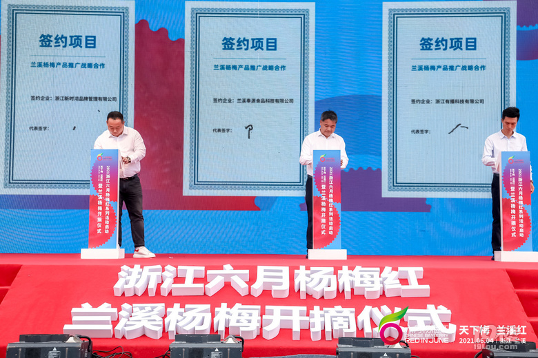 蘭溪楊梅紅天下  2021浙江“六月楊梅紅”系列活動在蘭啟動