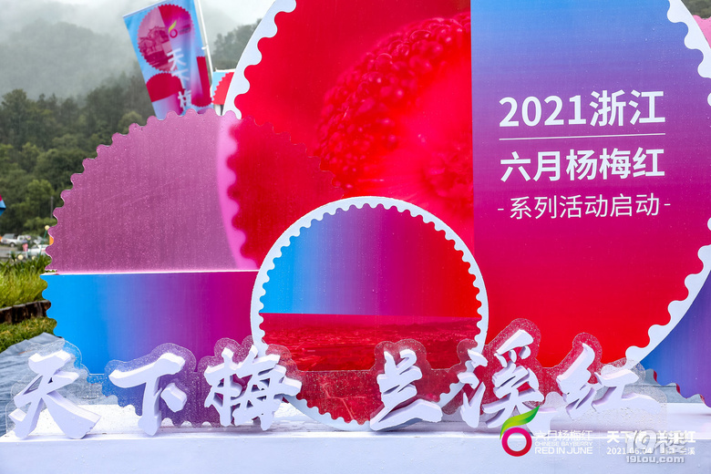 蘭溪楊梅紅天下  2021浙江“六月楊梅紅”系列活動在蘭啟動