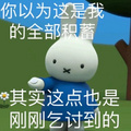 鿴ß