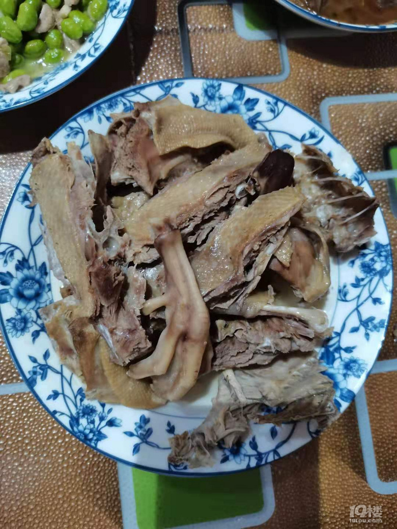我的簡單懶懶生活