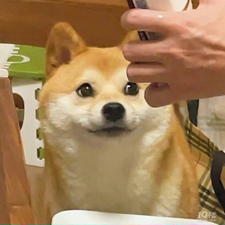 鿴ԭD