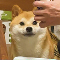 鿴ß